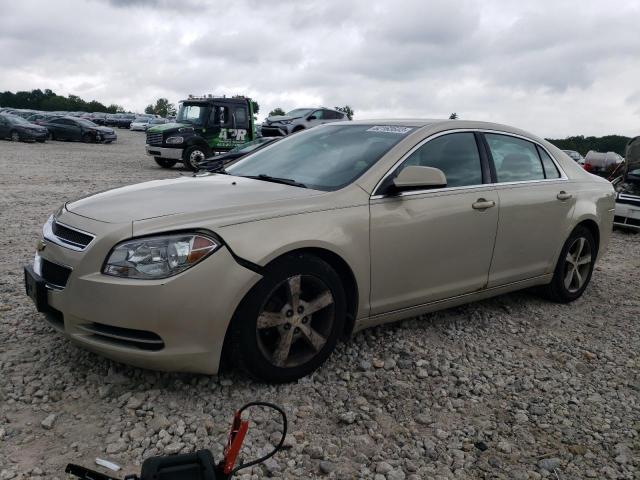 1G1ZC5E1XBF167309 - 2011 CHEVROLET MALIBU 1LT 棕色 照片 1