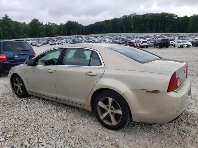 1G1ZC5E1XBF167309 - 2011 CHEVROLET MALIBU 1LT 棕色 照片 2