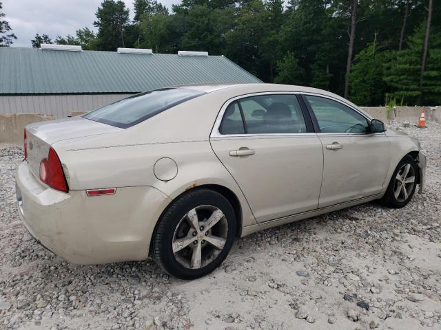 1G1ZC5E1XBF167309 - 2011 CHEVROLET MALIBU 1LT 棕色 照片 3