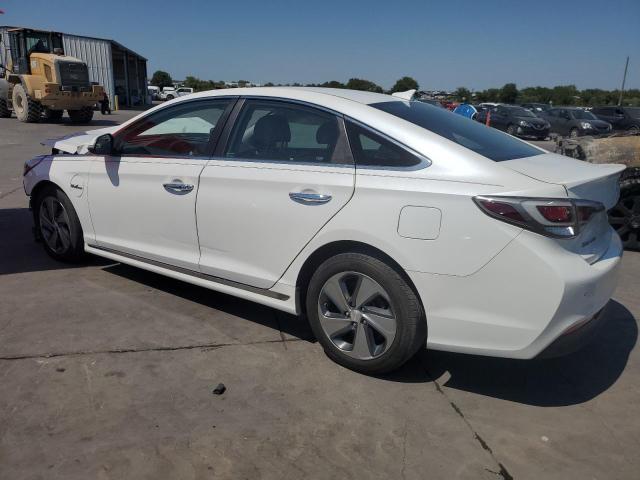 KMHE54L2XGA021420 - 2016 HYUNDAI SONATA PLUG-IN HYBRID WHITE photo 2