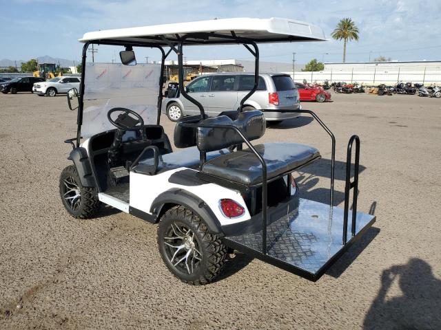 00014 - 2023 OTHER GOLFCART Ақ фото 3