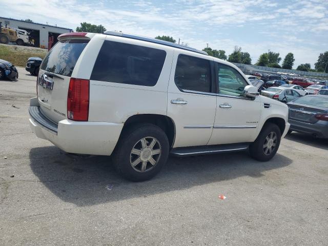 1GYFK23269R241173 - 2009 CADILLAC ESCALADE LUXURY 白色 照片 3