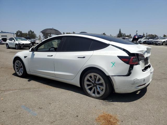 5YJ3E1EA9PF426030 - 2023 TESLA MODEL 3 白色 照片 2