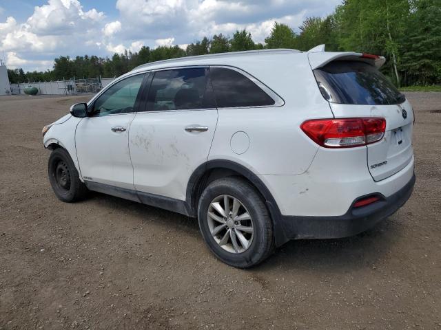 5XYPGDA56HG326953 - 2017 KIA SORENTO LX WHITE photo 2