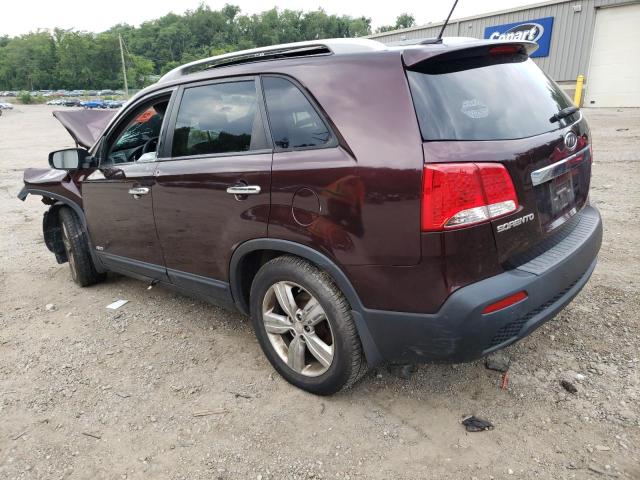 5XYKUDA22CG303266 - 2012 KIA SORENTO EX BURGUNDY photo 2