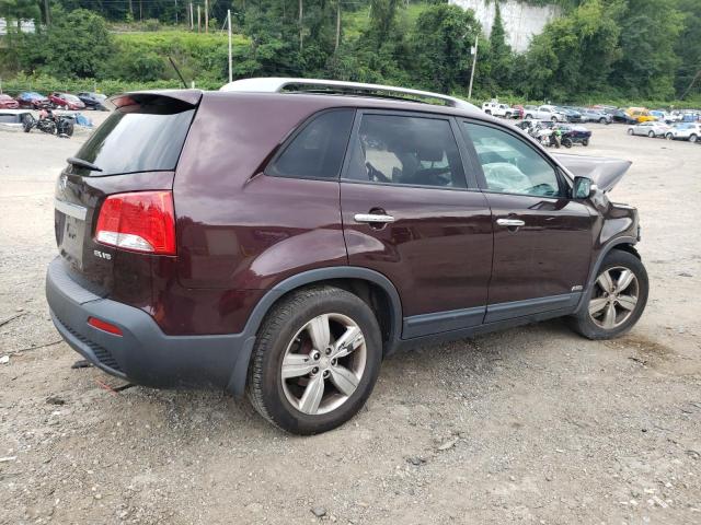 5XYKUDA22CG303266 - 2012 KIA SORENTO EX BURGUNDY photo 3