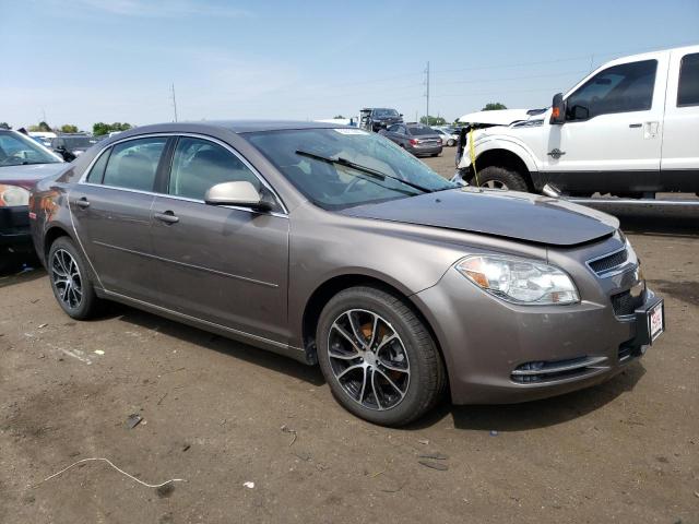 1G1ZC5E16BF127535 - 2011 CHEVROLET MALIBU 1LT 棕色 照片 4