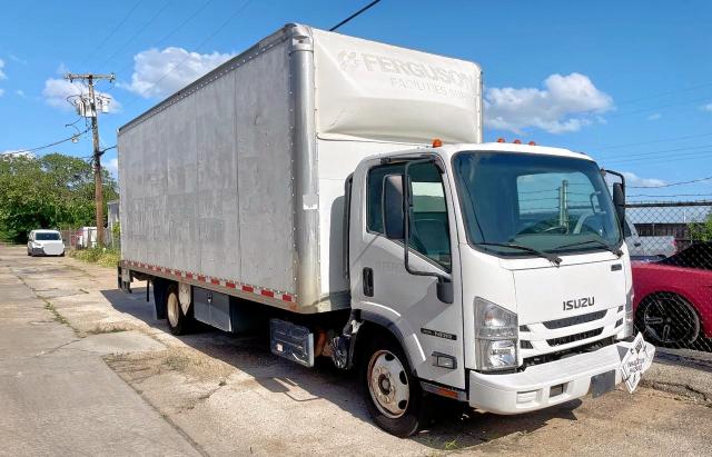 2019 ISUZU NQR, null