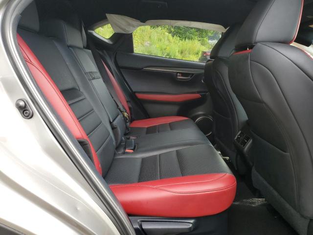 JTJSARDZ1M2246159 - 2021 LEXUS NX 300 BASE Արծաթագույն լուսանկար 11