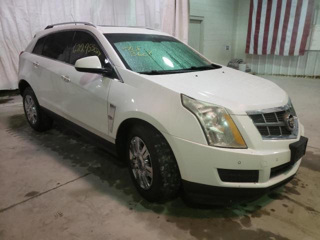 3GYFNDE38CS541083 - 2012 CADILLAC SRX LUXURY COLLECTION WHITE photo 1