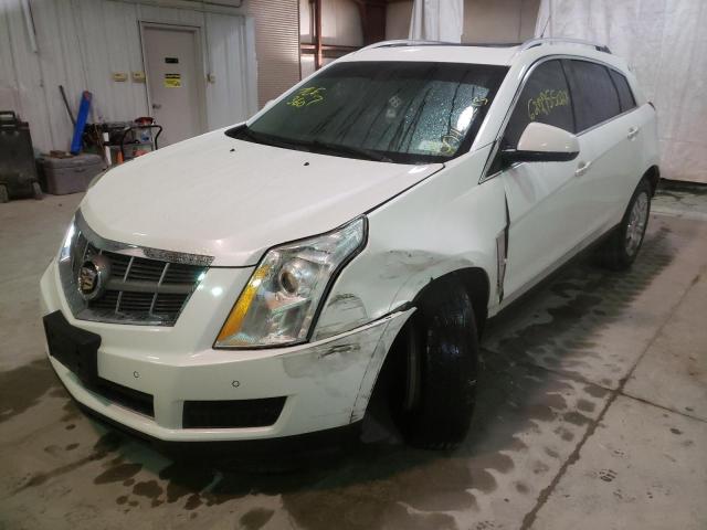 3GYFNDE38CS541083 - 2012 CADILLAC SRX LUXURY COLLECTION WHITE photo 2