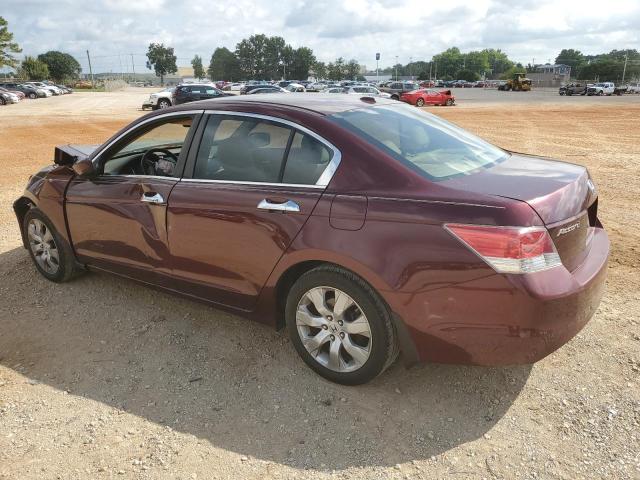 1HGCP2F84AA016491 - 2010 HONDA ACCORD EXL BURGUNDY photo 2