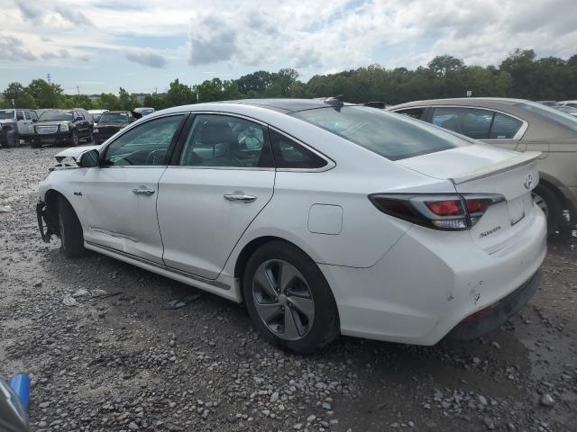 KMHE34L12GA008738 - 2016 HYUNDAI SONATA HYBRID WHITE photo 2