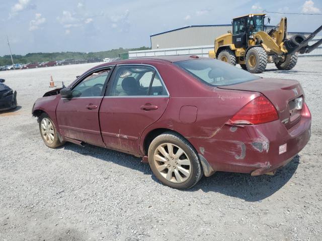 1HGCM66596A006813 - 2006 HONDA ACCORD EX 勃艮第红 照片 2