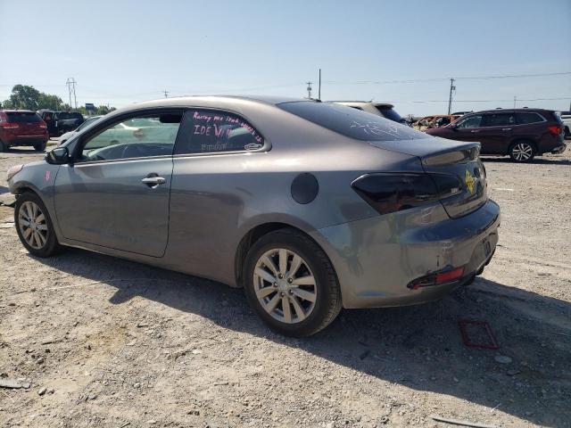 KNAFX6A82E5202312 - 2014 KIA FORTE EX GRAY photo 2