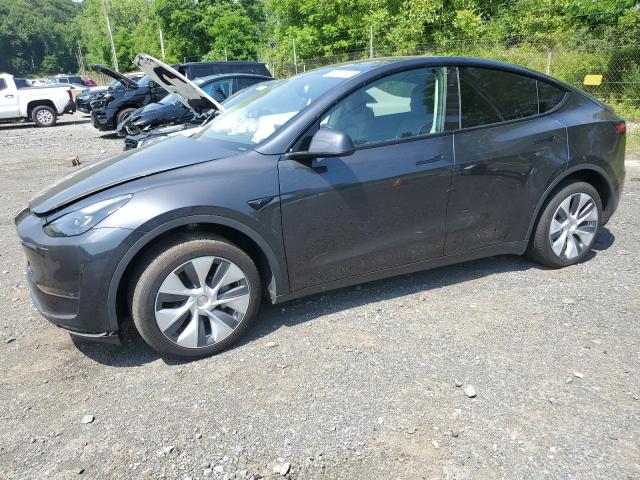 2024 TESLA MODEL Y, null