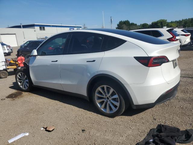 5YJYGDEE1MF175343 - 2021 TESLA MODEL Y 白色 照片 2