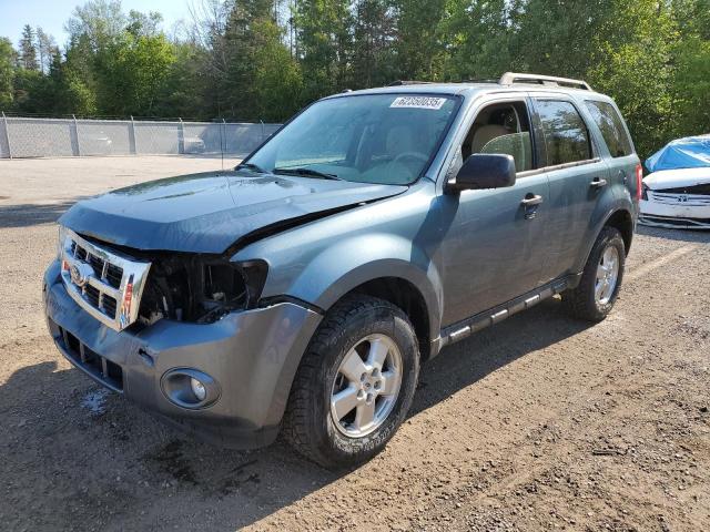 2011 FORD ESCAPE XLT, 
