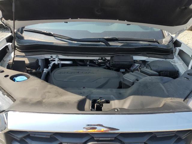 5FNYF8H54PB040447 - 2023 HONDA PASSPORT EXL თეთრი ფოტო 12