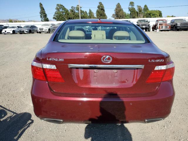 JTHBL46F175012706 - 2007 LEXUS LS 460 RED photo 6