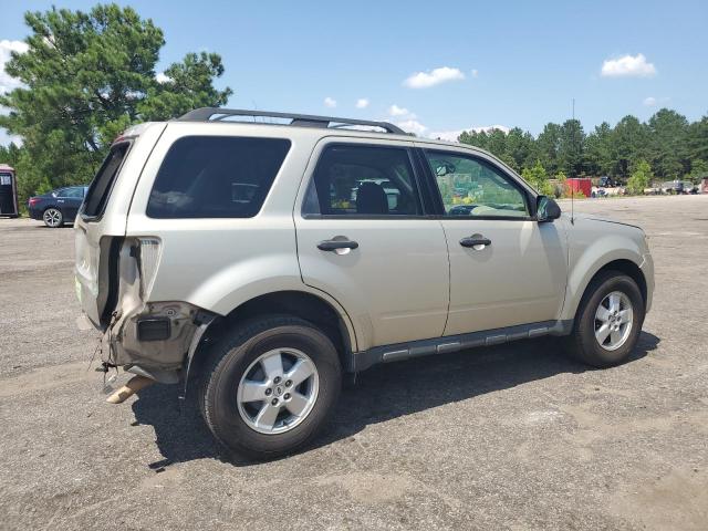 1FMCU0DG4AKB21916 - 2010 FORD ESCAPE XLT GOLD photo 3