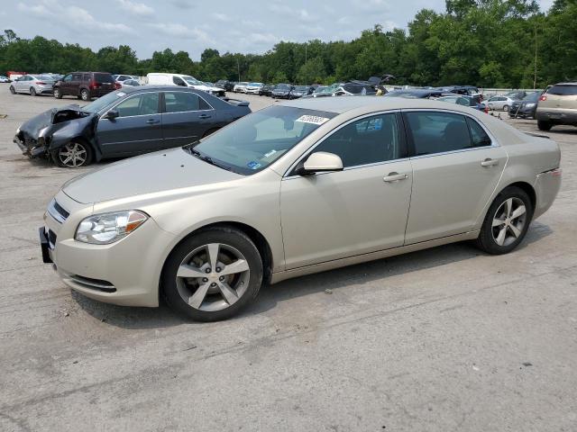 1G1ZC5E12BF388063 - 2011 CHEVROLET MALIBU 1LT 金色 照片 1