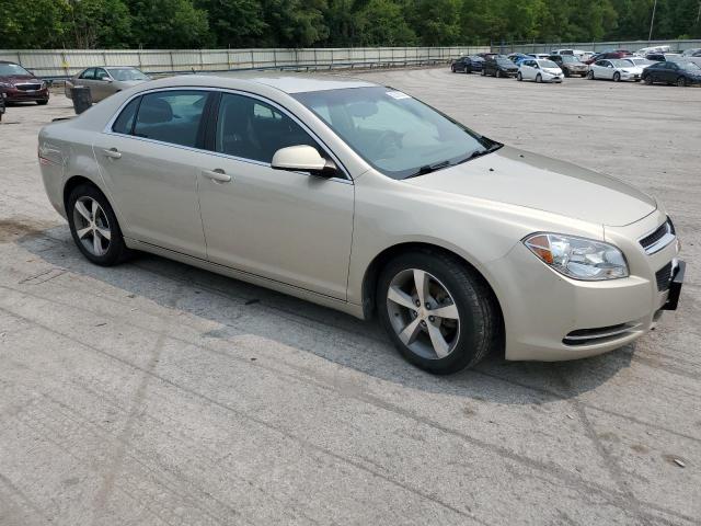 1G1ZC5E12BF388063 - 2011 CHEVROLET MALIBU 1LT 金色 照片 4
