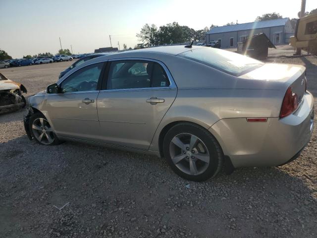 1G1ZC5E19BF330340 - 2011 CHEVROLET MALIBU 1LT 米色 照片 2