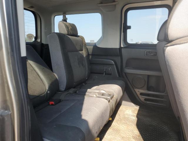 5J6YH28543L041445 - 2003 HONDA ELEMENT EX GRAY photo 10