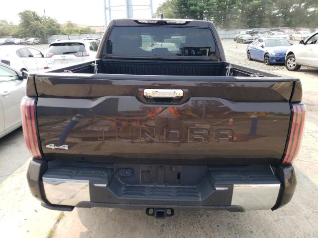 5TFMA5DB4NX029572 - 2022 TOYOTA TUNDRA CREWMAX PLATINUM Braun Foto 6