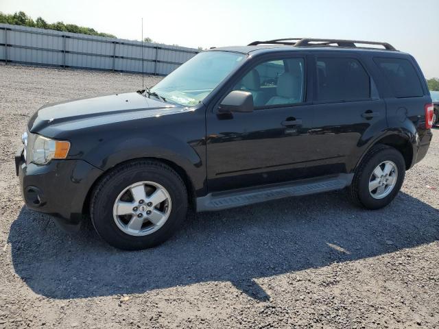 2011 FORD ESCAPE XLT, 