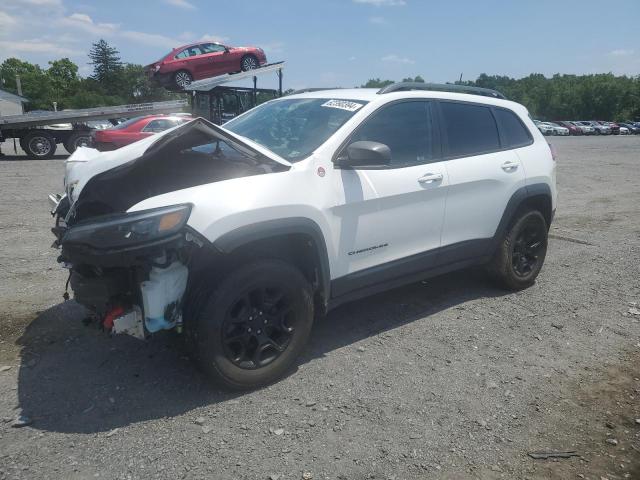 1C4PJMBN9KD192994 - 2019 JEEP CHEROKEE TRAILHAWK WHITE photo 1