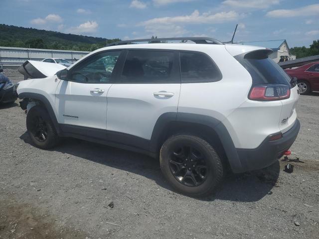 1C4PJMBN9KD192994 - 2019 JEEP CHEROKEE TRAILHAWK WHITE photo 2