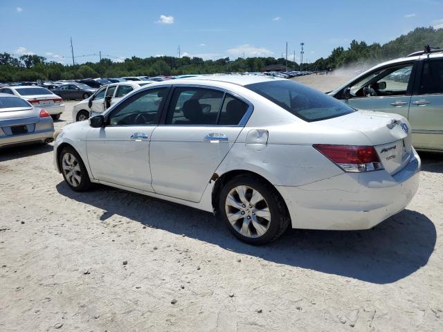 1HGCP36858A030710 - 2008 HONDA ACCORD EXL WHITE photo 2