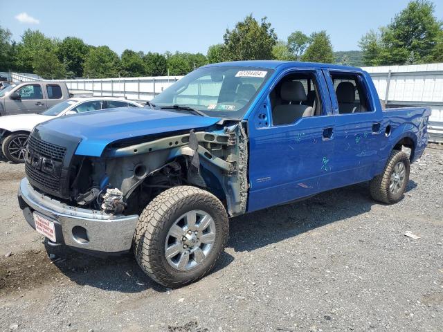 1FTFW1ET2BFB00828 - 2011 FORD F150 SUPERCREW BLUE photo 1