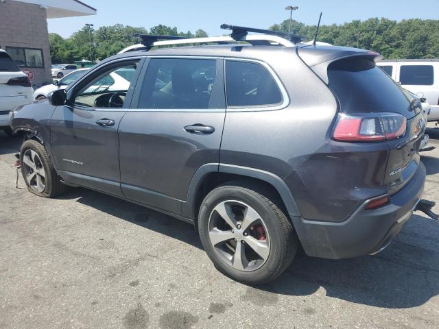 1C4PJMDX0KD415339 - 2019 JEEP CHEROKEE LIMITED Сұр фото 2