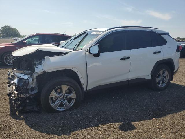 2024 TOYOTA RAV4 XLE, null
