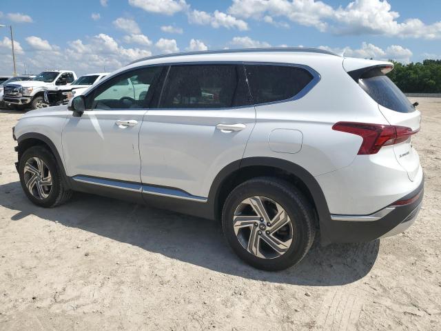 5NMS2DAJ7MH353407 - 2021 HYUNDAI SANTA FE SEL Ağ foto 2