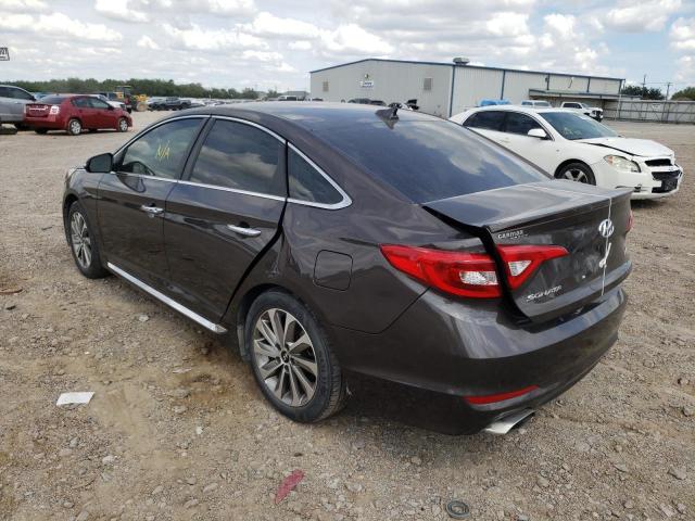 5NPE34AF8GH395310 - 2016 HYUNDAI SONATA SPORT Grau Foto 3