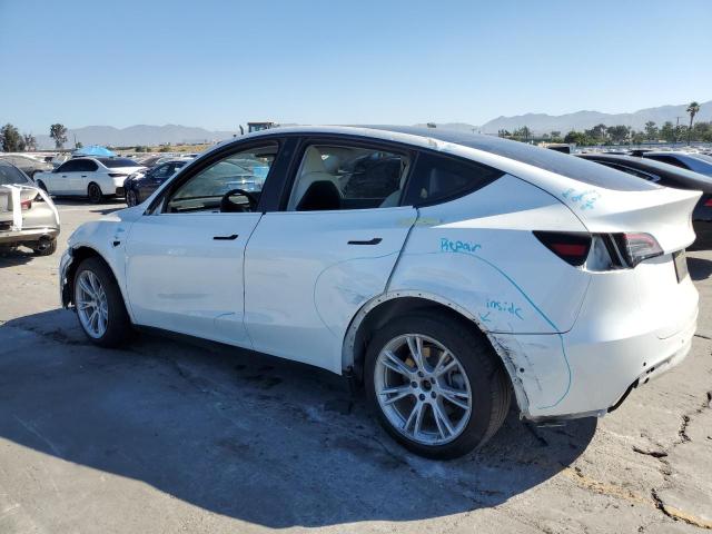 5YJYGDEE4MF210067 - 2021 TESLA MODEL Y Ağ foto 2