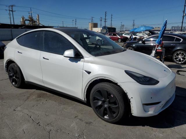 5YJYGDEE4MF210067 - 2021 TESLA MODEL Y Ağ foto 4