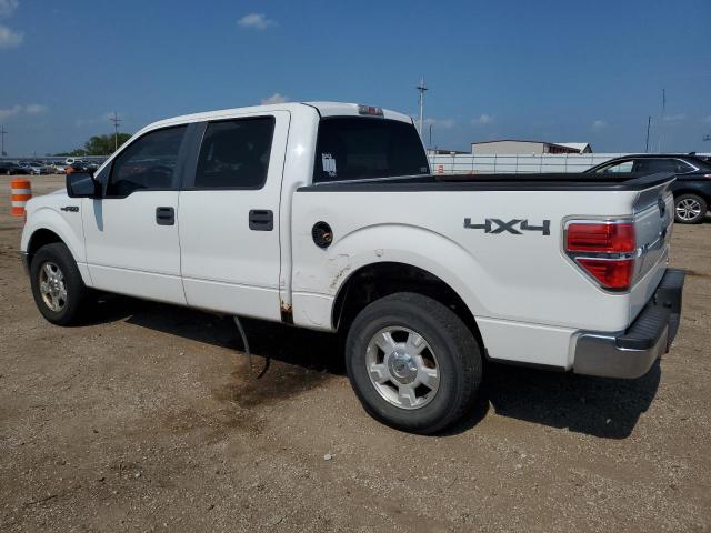 1FTFW1EV7AFC62499 - 2010 FORD F150 SUPERCREW WHITE photo 2