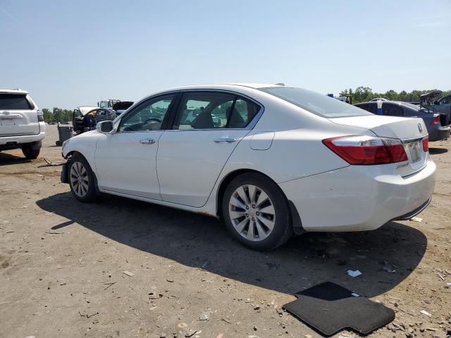 1HGCR2F8XEA282632 - 2014 HONDA ACCORD EXL WHITE photo 2