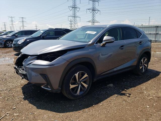 JTJBARBZ6K2197704 - 2019 LEXUS NX 300 BASE Boz foto 1