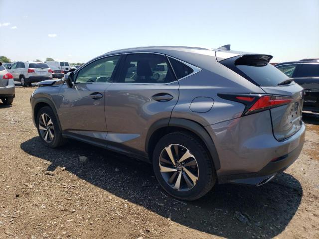 JTJBARBZ6K2197704 - 2019 LEXUS NX 300 BASE Boz foto 2