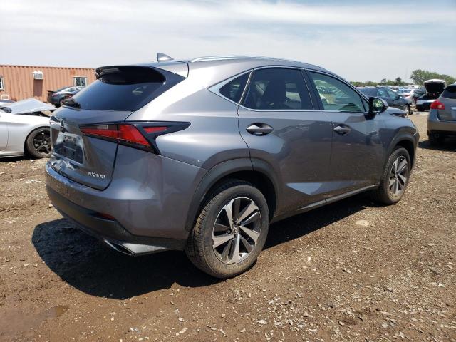 JTJBARBZ6K2197704 - 2019 LEXUS NX 300 BASE Boz foto 3