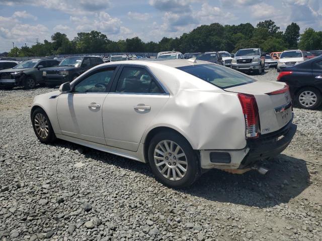 1G6DF5E53C0114650 - 2012 CADILLAC CTS LUXURY COLLECTION CREAM photo 2