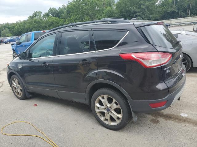 1FMCU9GX4DUC11236 - 2013 FORD ESCAPE SE BLACK photo 2