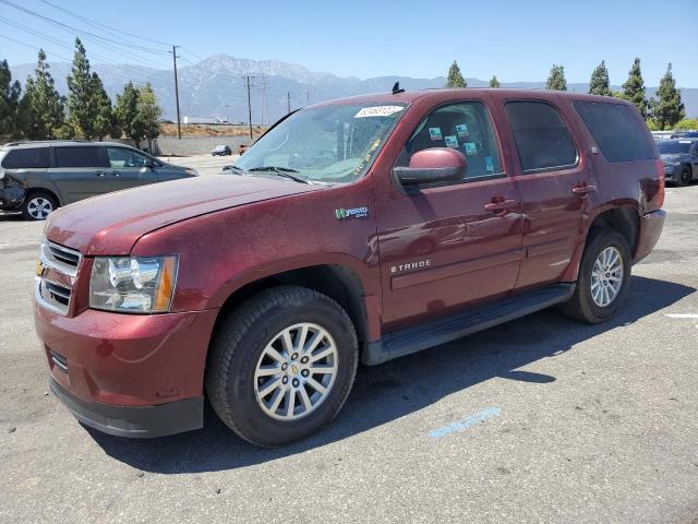 1GNFC13589R171299 - 2009 CHEVROLET TAHOE HYBRID MAROON photo 1