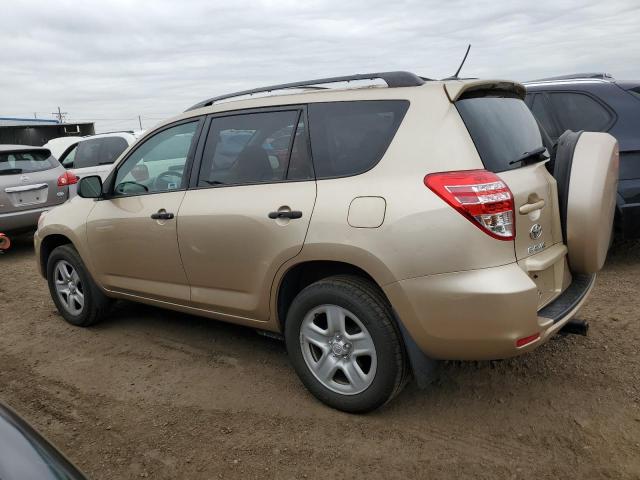 2T3BF4DV0CW259561 - 2012 TOYOTA RAV4 GOLD photo 2